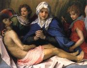 Andrea del Sarto Lamentation of Christ Sweden oil painting artist